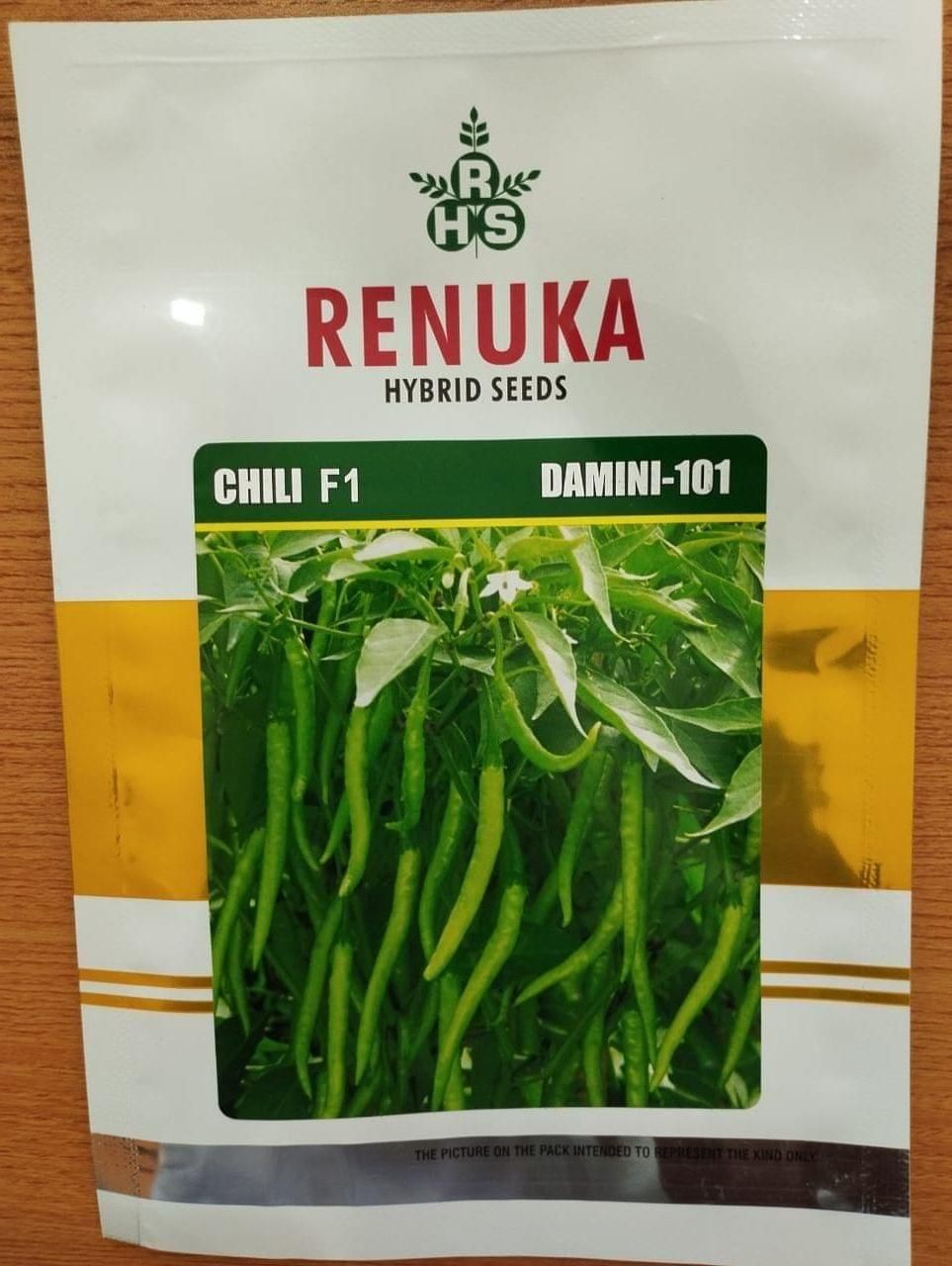 Chili F1 Damini - 101