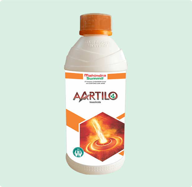 Aartilo