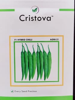 Chilli Hybrid Seed- AGNI 21