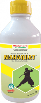 Mahaquat