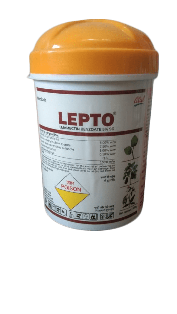 Lepto