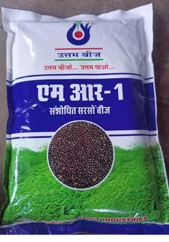 Amit Ind. Mustard Seeds ( MR-1 )