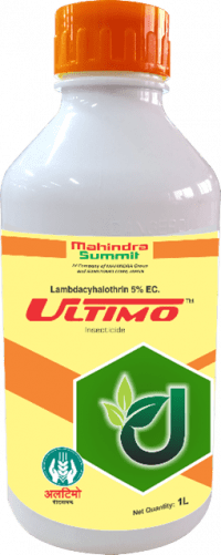 Ultimo