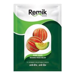 Musk melon-Remik Sakar