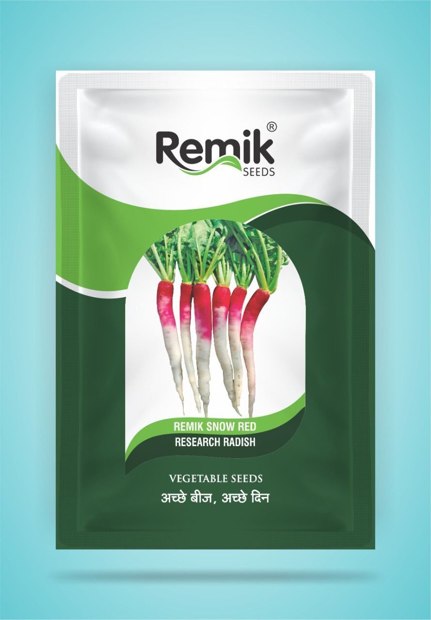 Radish Remik SNOW RED