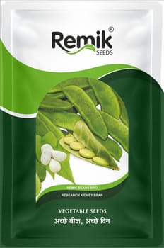 Kidney Beans- Remik Beans Bro