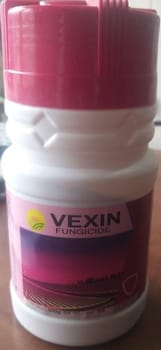 Vexin  (Tebuconazol+Sulphur 65%WG)