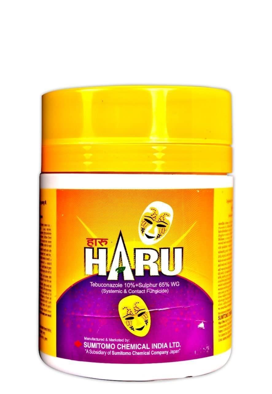 Haru