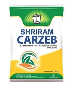 Shriram Carzeb