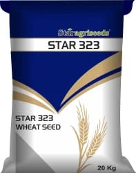 Wheat STAR 323