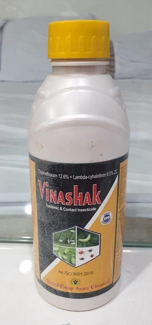 Vinashak