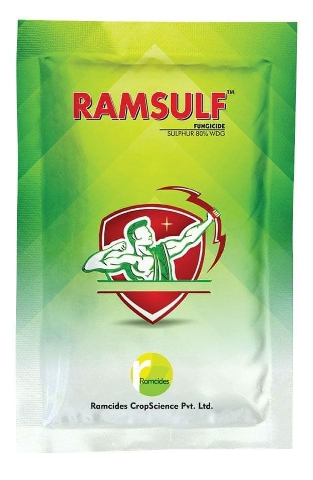 Ramsulf