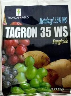 Tagron 35 Ws