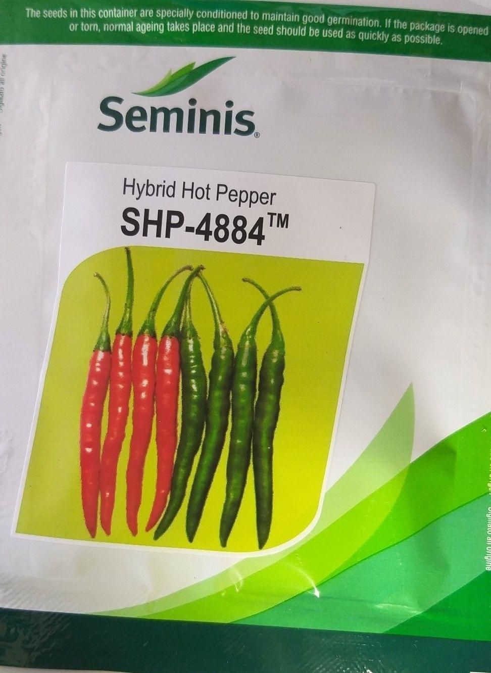 Hybrid Hot Pepper SHP-4884