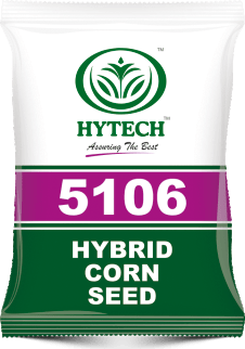 Hytech 5106 Hybrid corn seeds