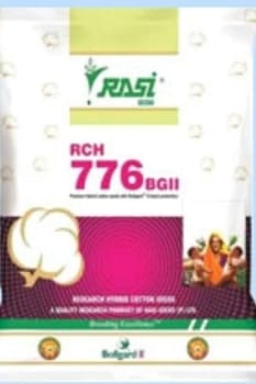 Rasi (RCH 776 BG II)