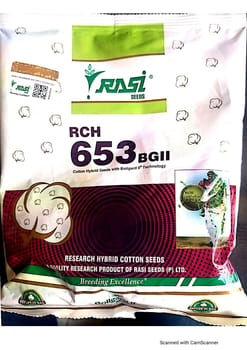 Rasi (RCH 653 BG II)