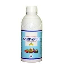 Sarpanch