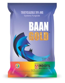 Baan Gold