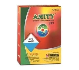 Amity