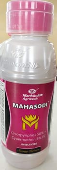 Mahasodi