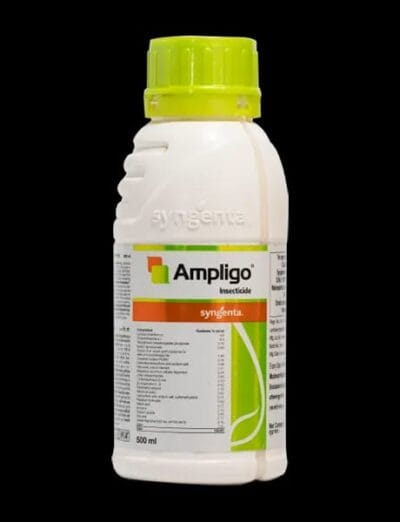 Ampligo