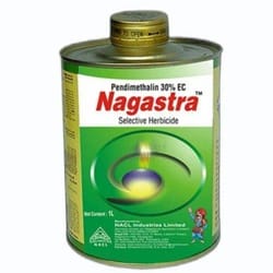 Nagastra