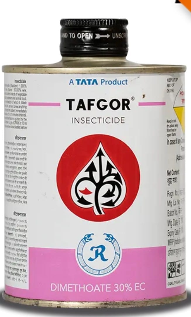 Tafgor