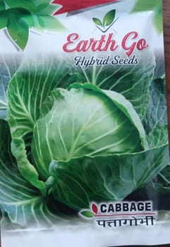 Hybrid Seeds Cabbage