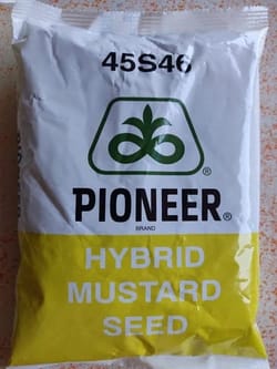 Pioneer 45S46