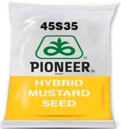 Pioneer 45S35