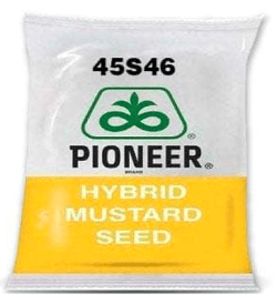 Pioneer 45S46