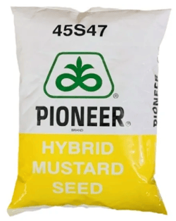 Pioneer 45S47