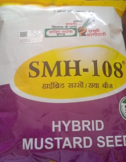 Hy. Mustard SMH - 108