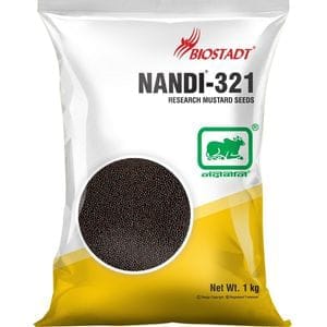 Nandi 321