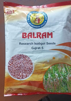 Balram Gujrat - 5