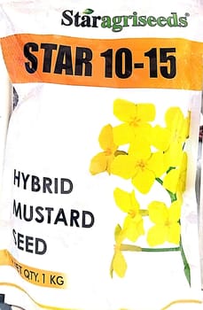 Star 10-15 - Mustard