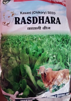 Rasdhara Kasni Seed