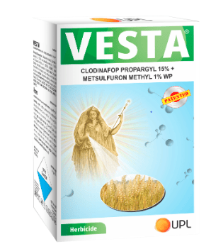 Vesta