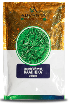 Radhika Hybrid Bhendi