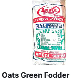 Oats Green Fodder Amool Seeds
