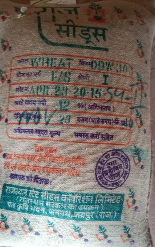 Wheat - DBW 303