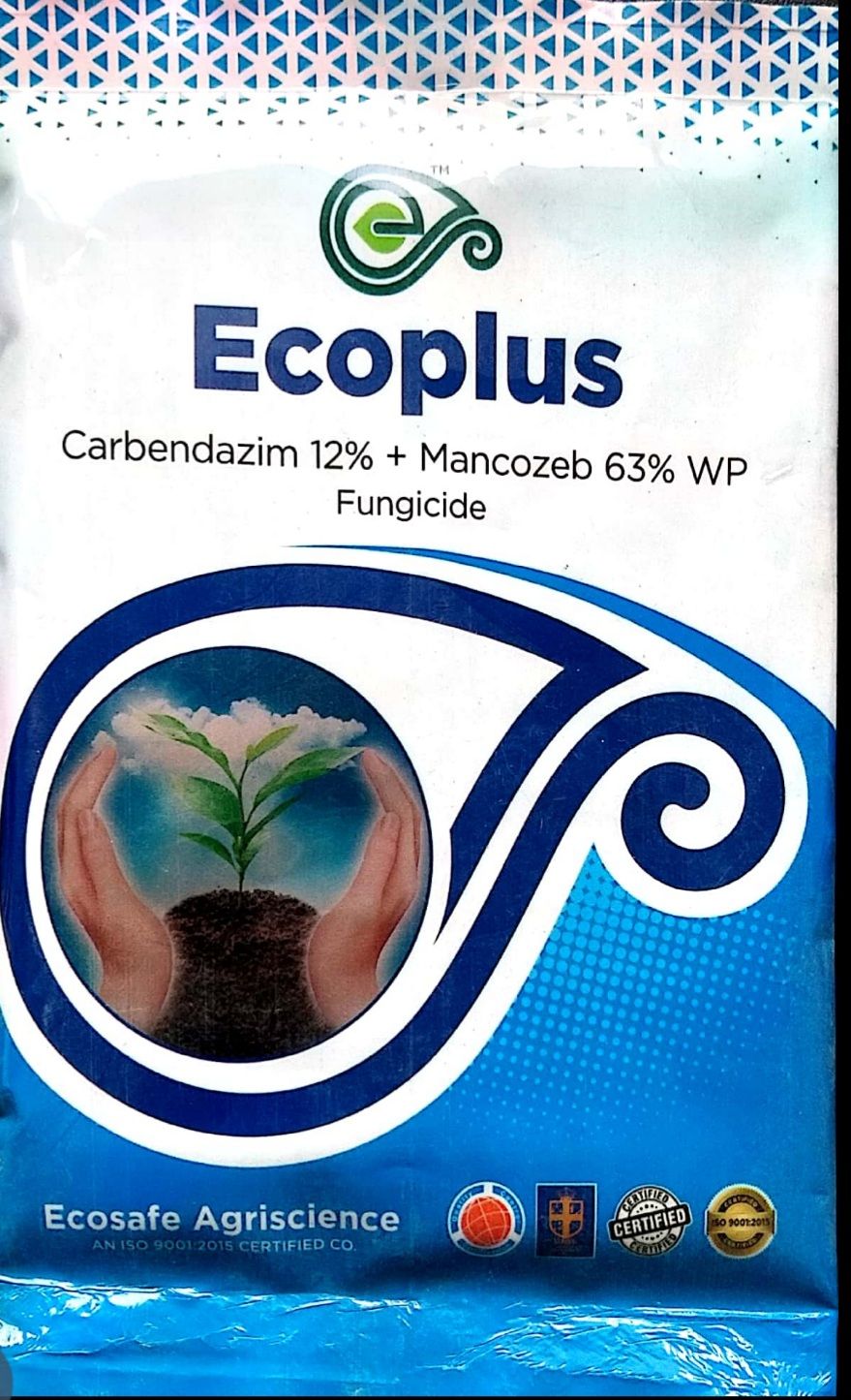 Ecoplus