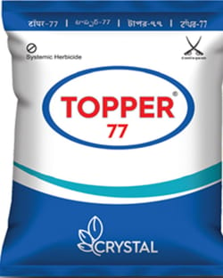 Topper 77