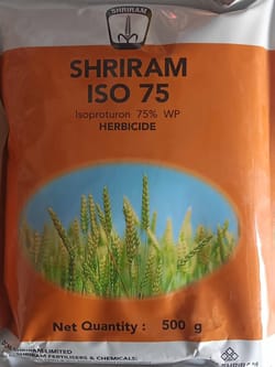 Shriram ISO 75
