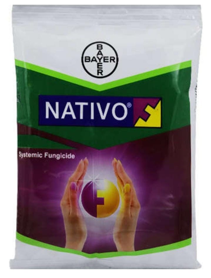 Nativo