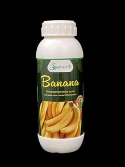 Banana Special