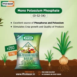Mono Potassium Phosphate 00:52:34
