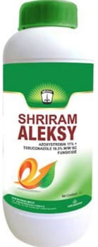 Shriram Aleksy
