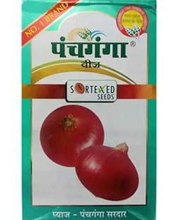 Onion-Panchganga Sardar